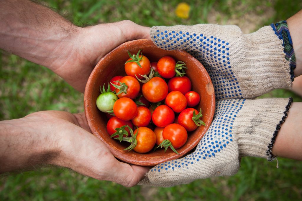 Midyear review: Manifesting your Harvest Garden